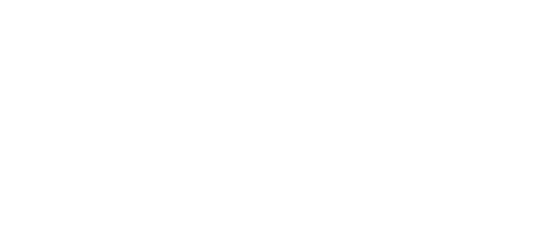 logo-est-cheminee-mundolsheim-blanc